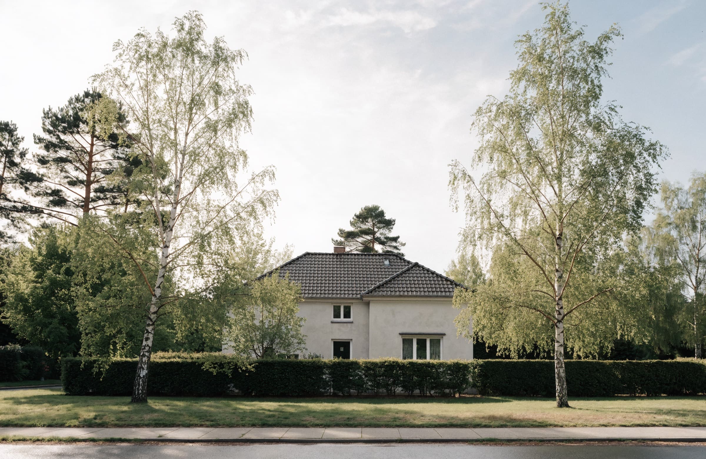 Freistehendes Einfamilienhaus hinter einer Hecke, Birken und Kiefern im Hintergrund