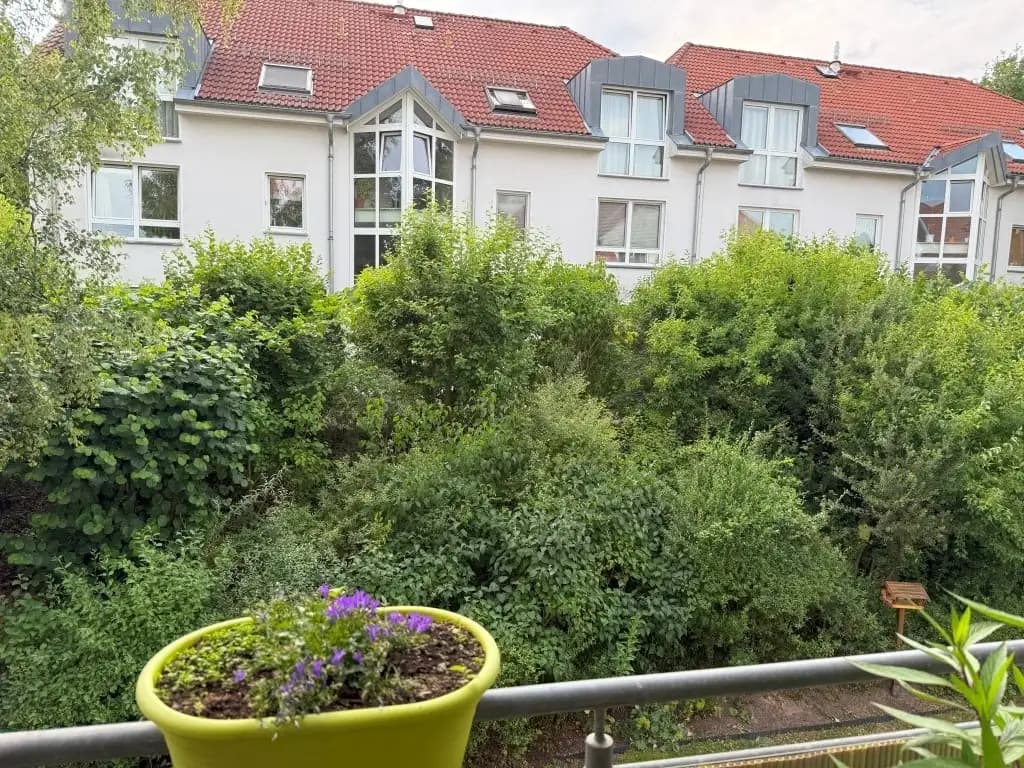Bild 19